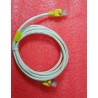 CABLE - RED RJ45 (BLANCO _ 1,5 metros)